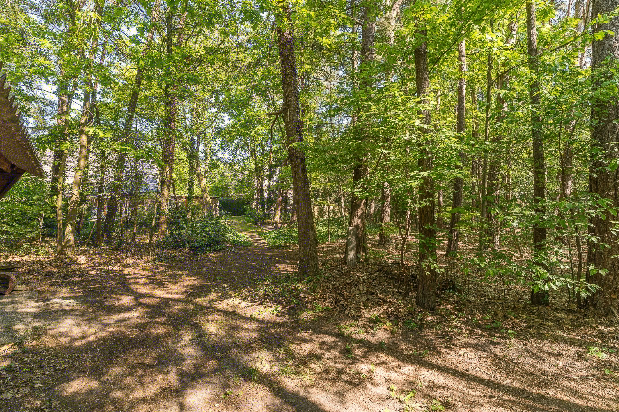 Foto 57 van Prins Johan Frisolaan 13