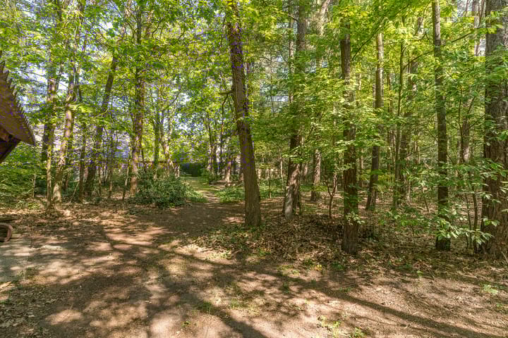 Foto 57 van Prins Johan Frisolaan 13