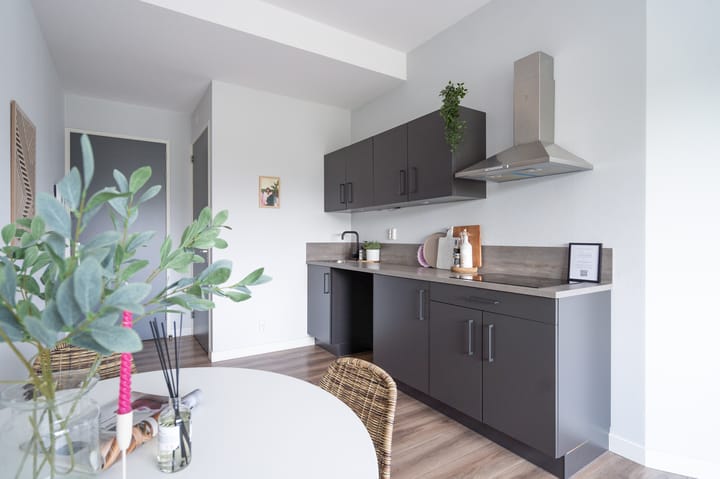 Foto 2 van Duitslandlaan 494