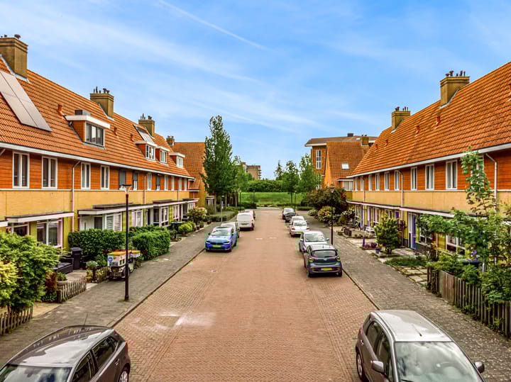 Foto 2 van Waterhoen 9