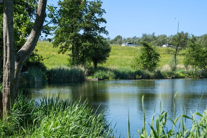 Foto 31 van Fop Smitstraat 37