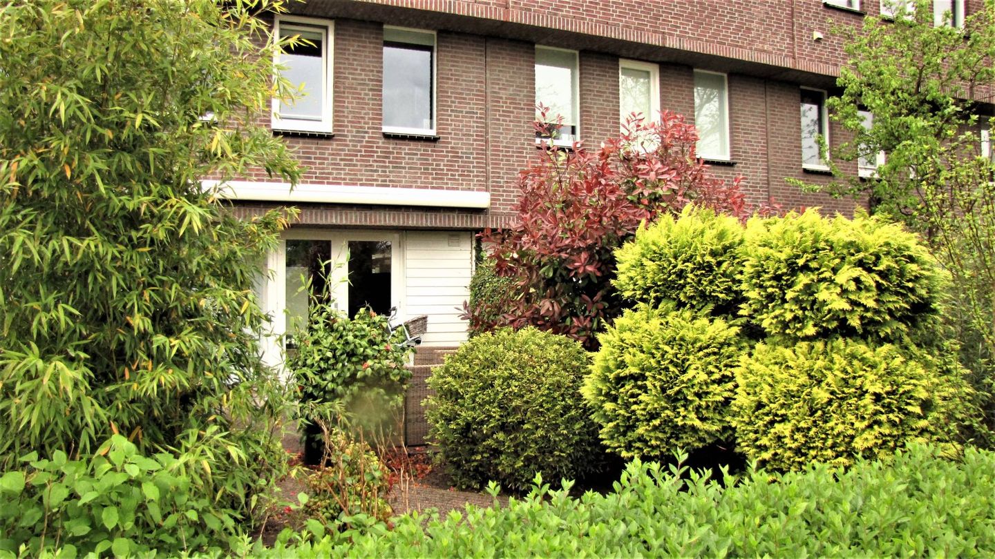 Foto 40 van Pleviersingel 29