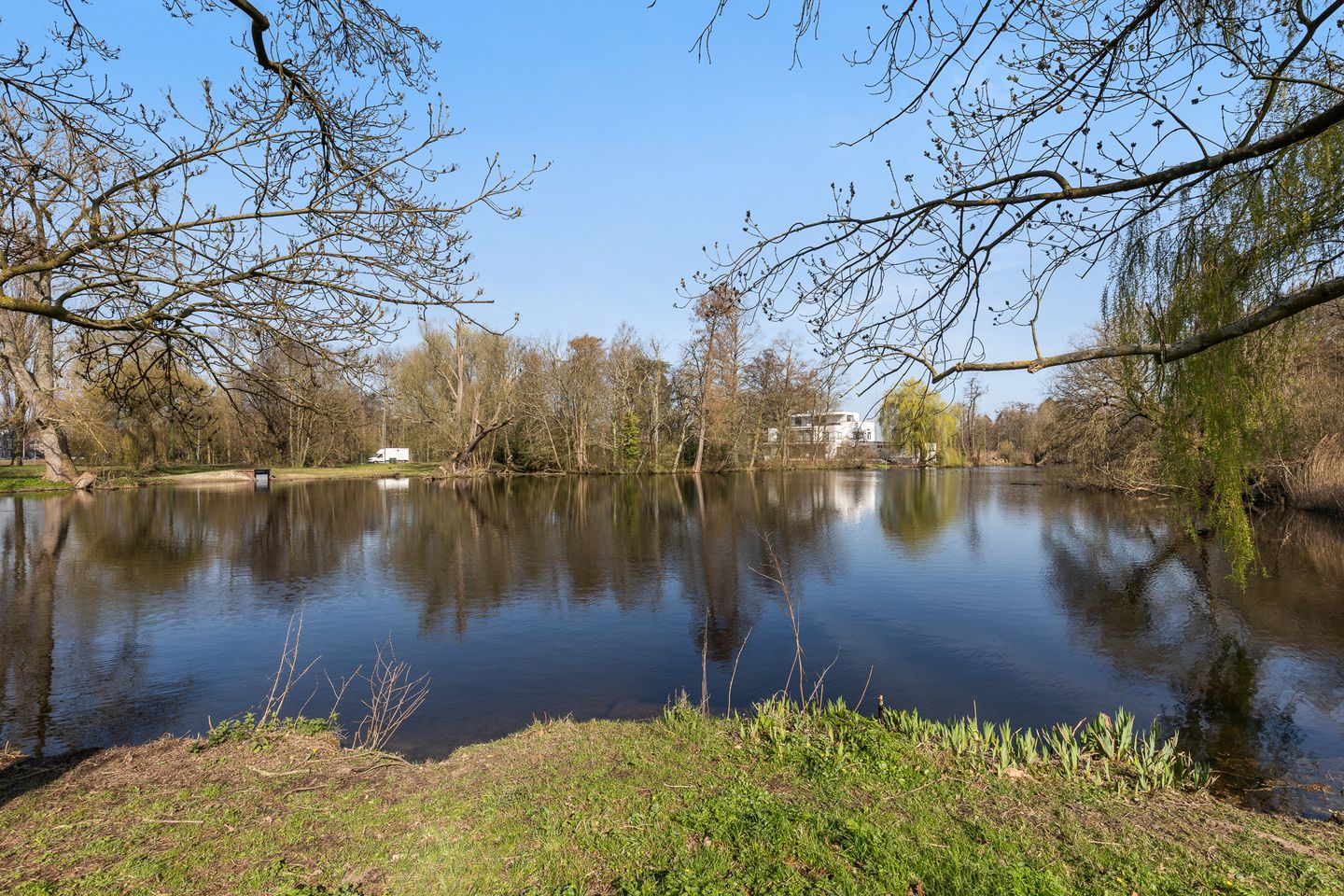 Foto 4 van Kralingseweg 79