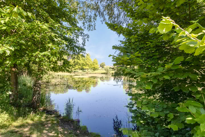 Foto 42 van Vlasven 13