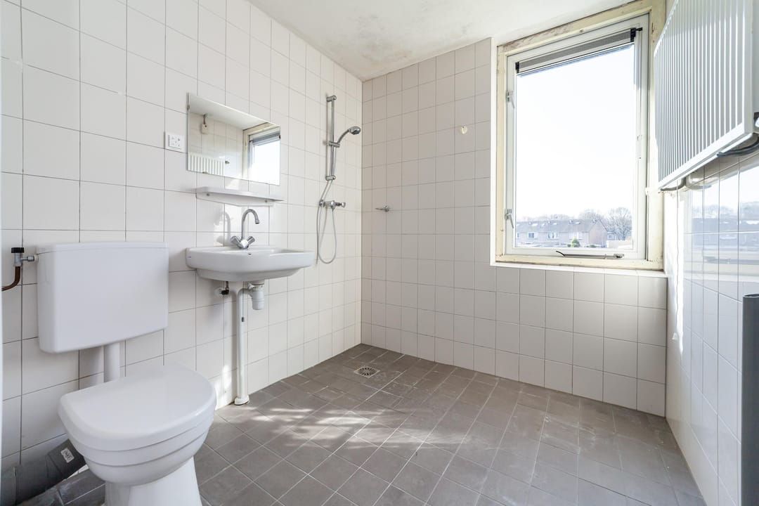 Foto 17 van Zwanenveld 4606