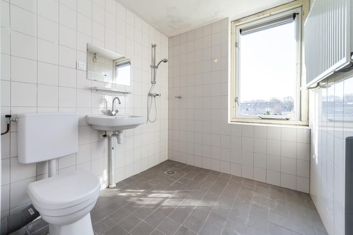 Foto 17 van Zwanenveld 4606