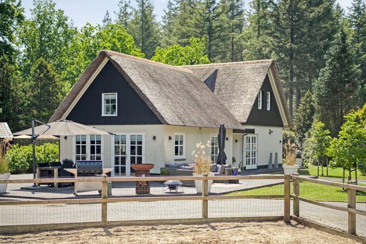 Foto 6 van Ruinerweg 9