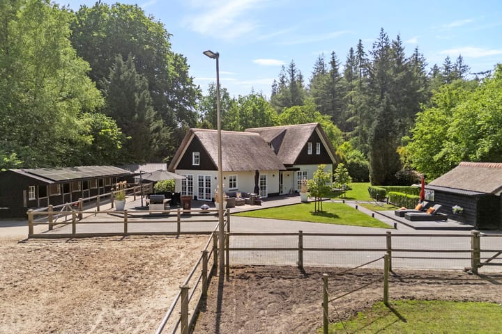 Foto 7 van Ruinerweg 9