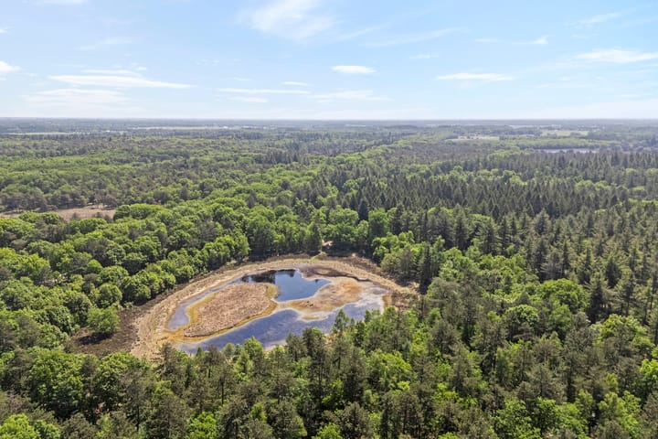 Foto 10 van Ruinerweg 9