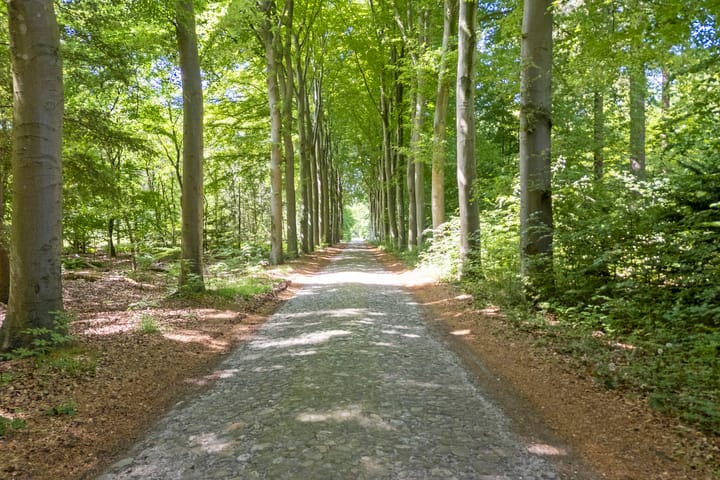 Foto 12 van Ruinerweg 9