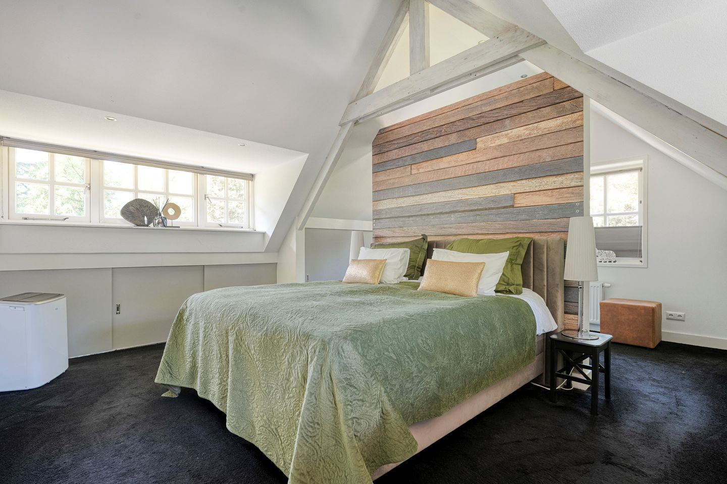 Foto 29 van Ruinerweg 9