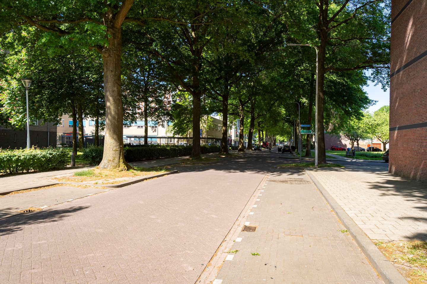 Photo 29 of Mangrovestraat 22