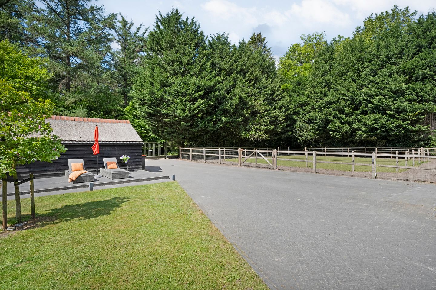 Foto 59 van Ruinerweg 9