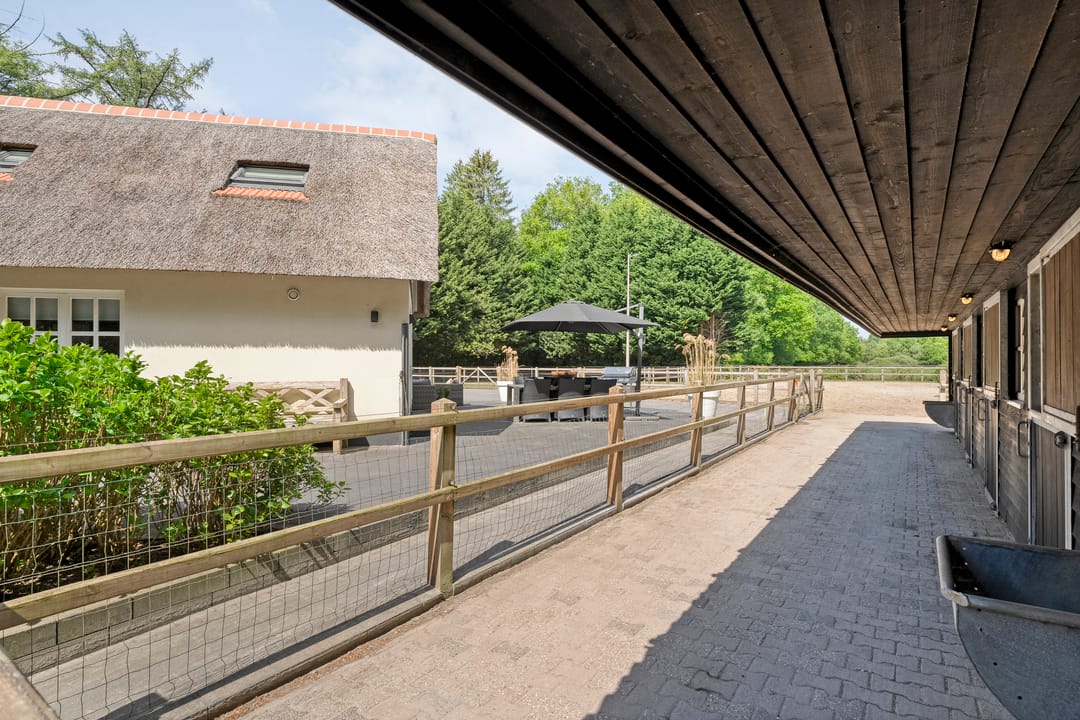 Foto 67 van Ruinerweg 9