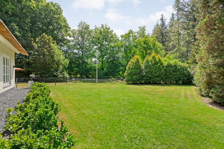 Foto 85 van Ruinerweg 9