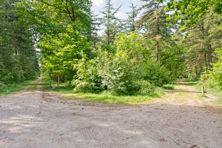 Foto 89 van Ruinerweg 9