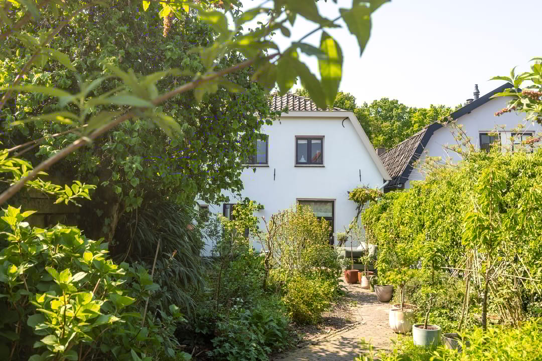 Foto 26 van Buitenbuurt 13