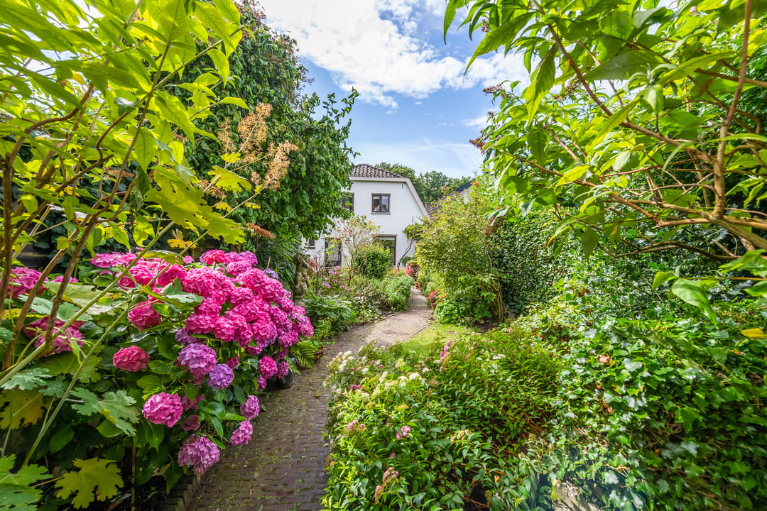 Foto 31 van Buitenbuurt 13