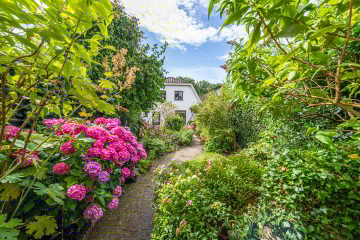 Foto 31 van Buitenbuurt 13