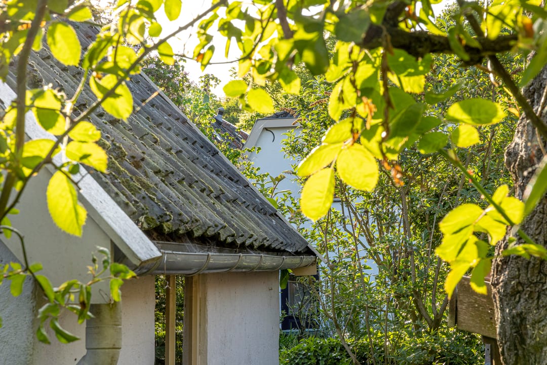 Foto 38 van Buitenbuurt 13