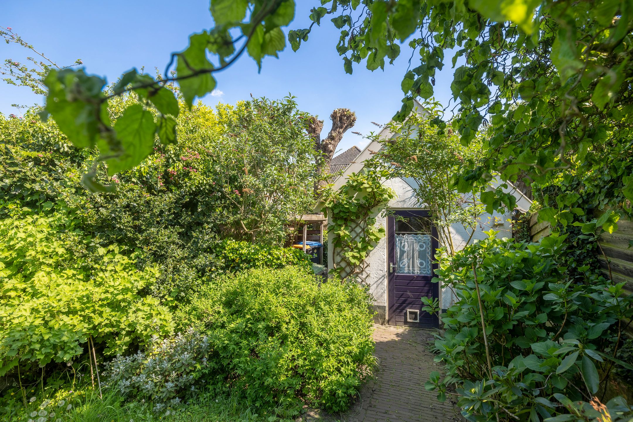 Foto 39 van Buitenbuurt 13