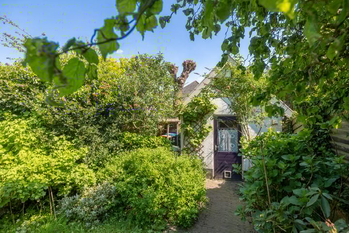 Foto 39 van Buitenbuurt 13