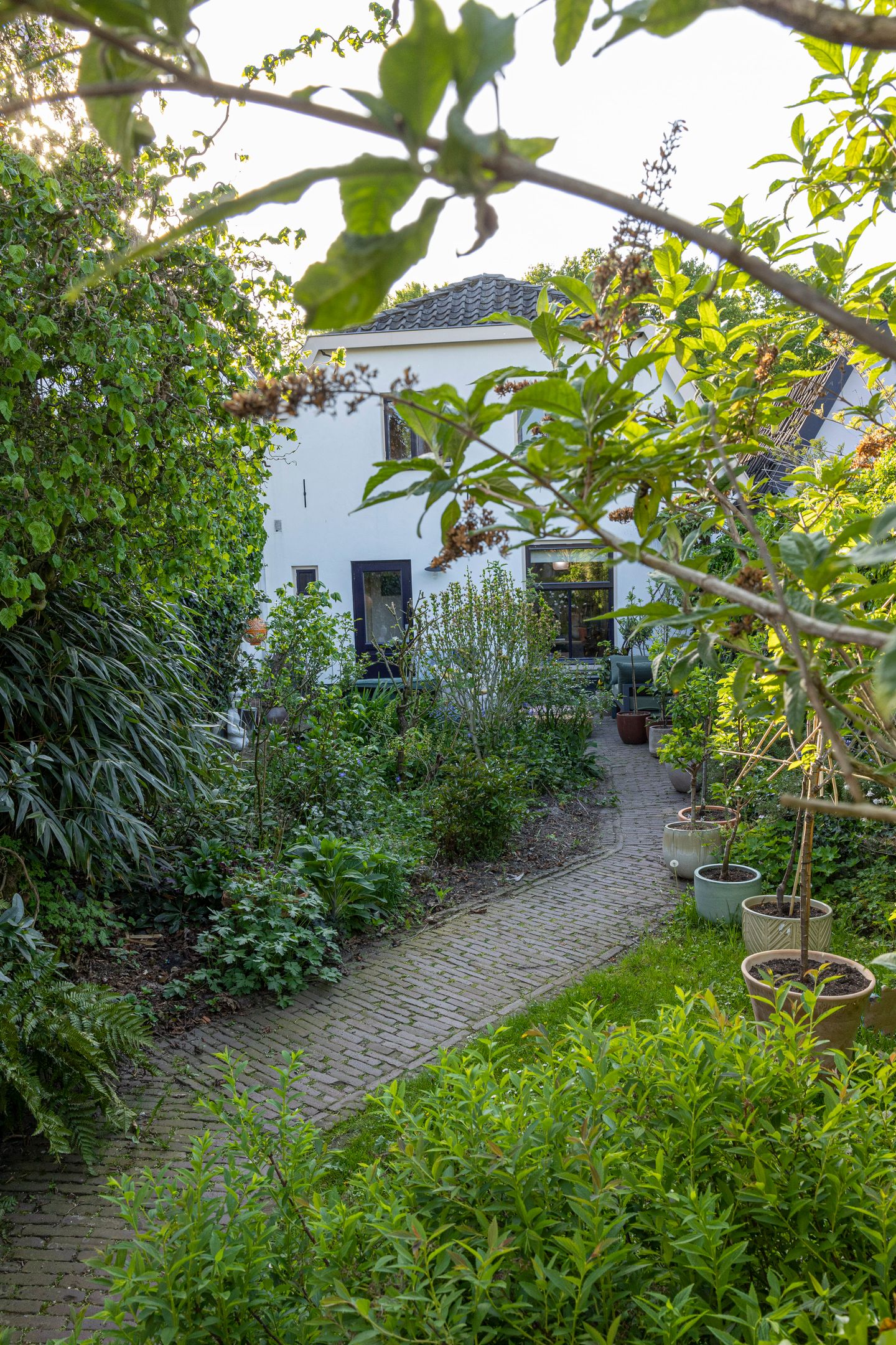 Foto 40 van Buitenbuurt 13