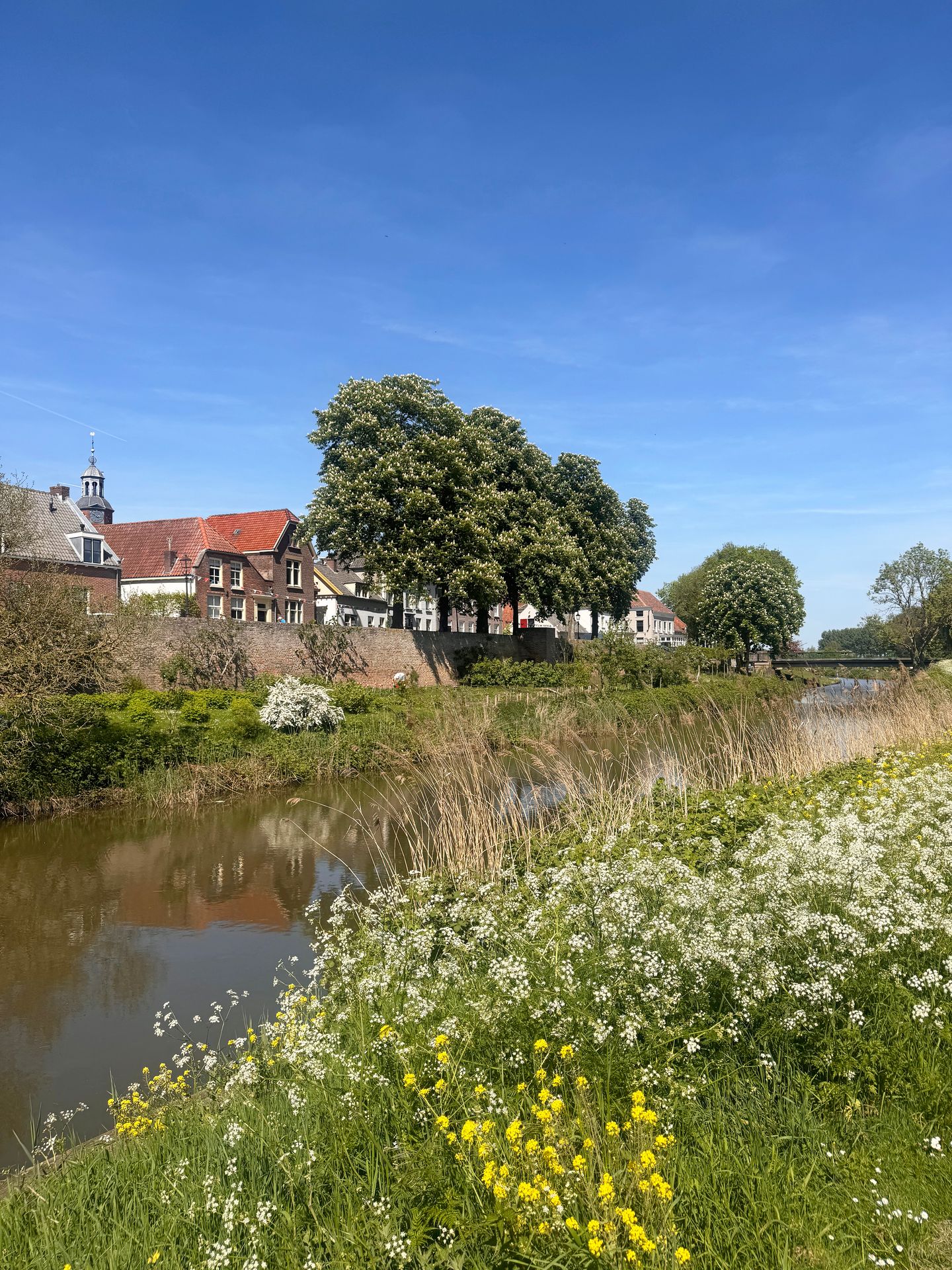 Foto 49 van Buitenbuurt 13