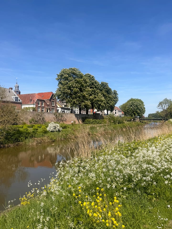 Foto 49 van Buitenbuurt 13