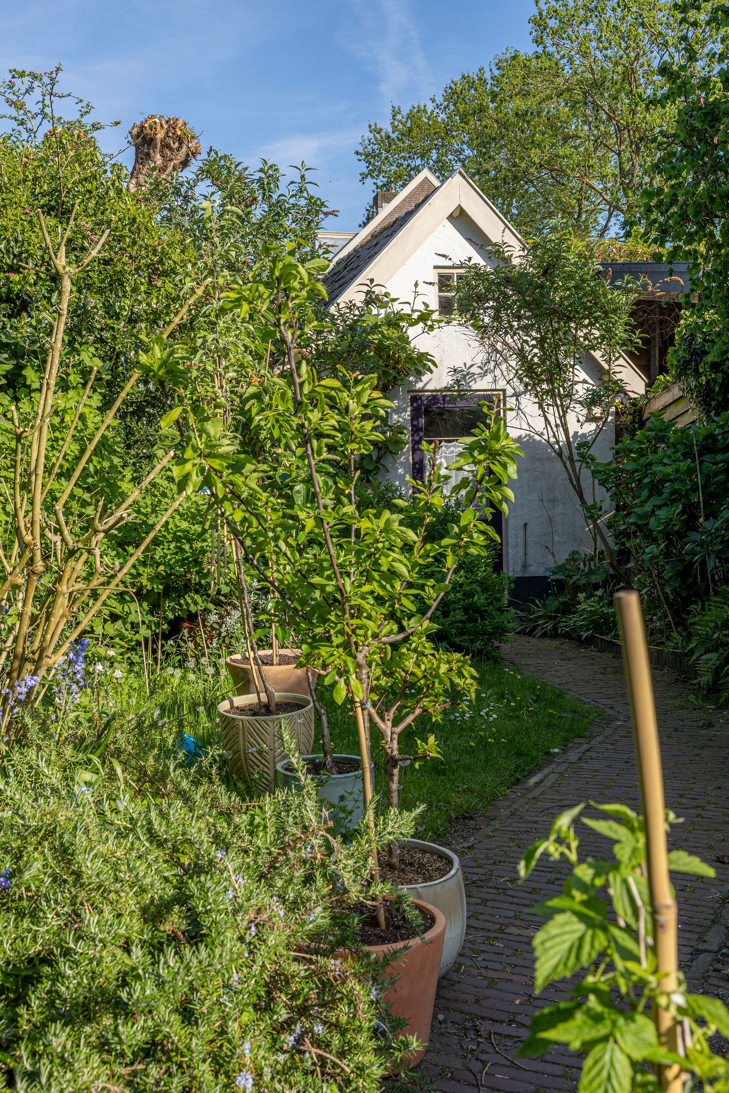 Foto 50 van Buitenbuurt 13