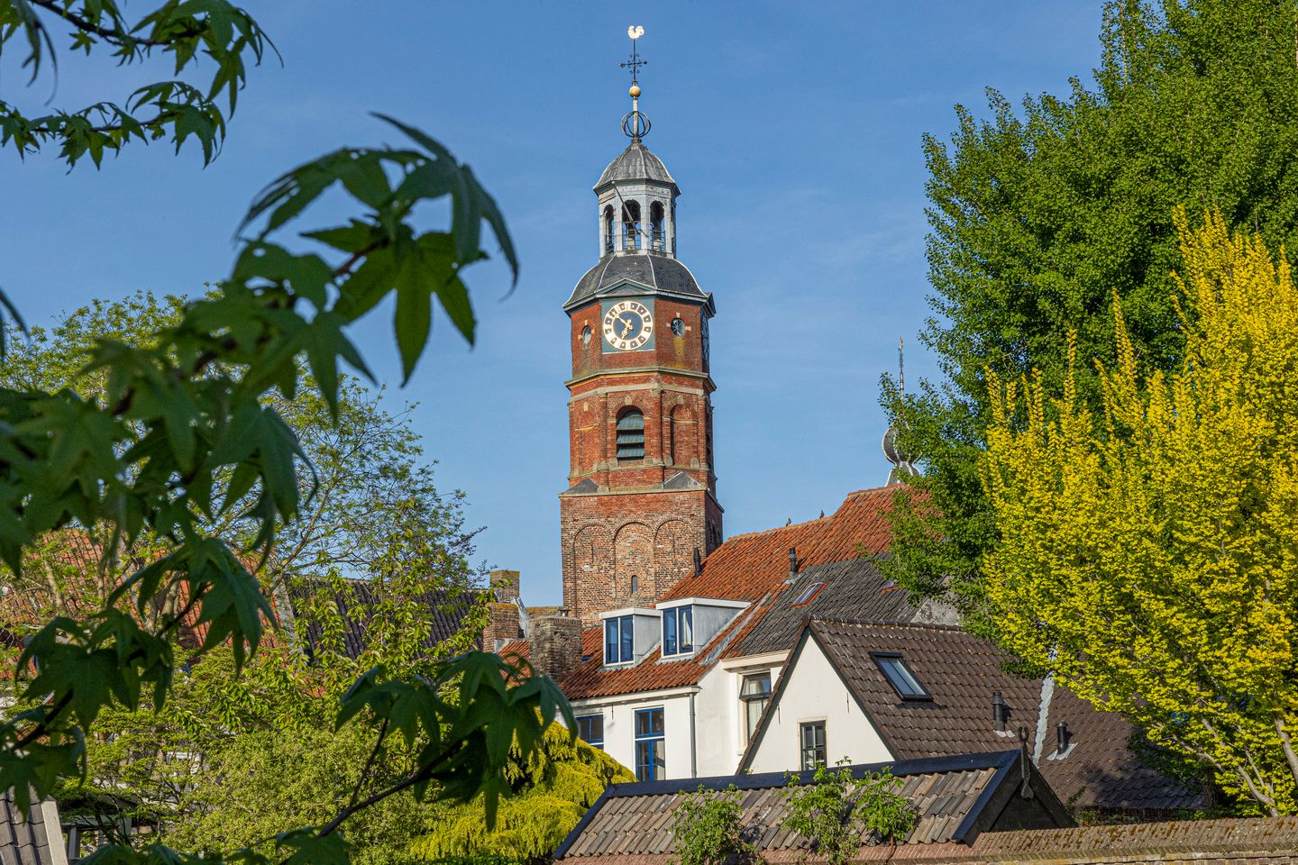 Foto 55 van Buitenbuurt 13