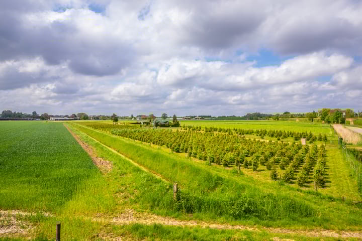 Foto 7 van Hoevestraat 16