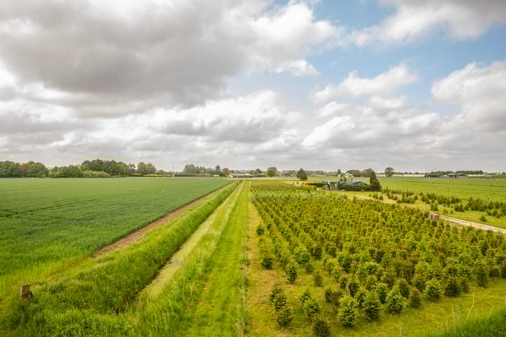 Foto 62 van Hoevestraat 16