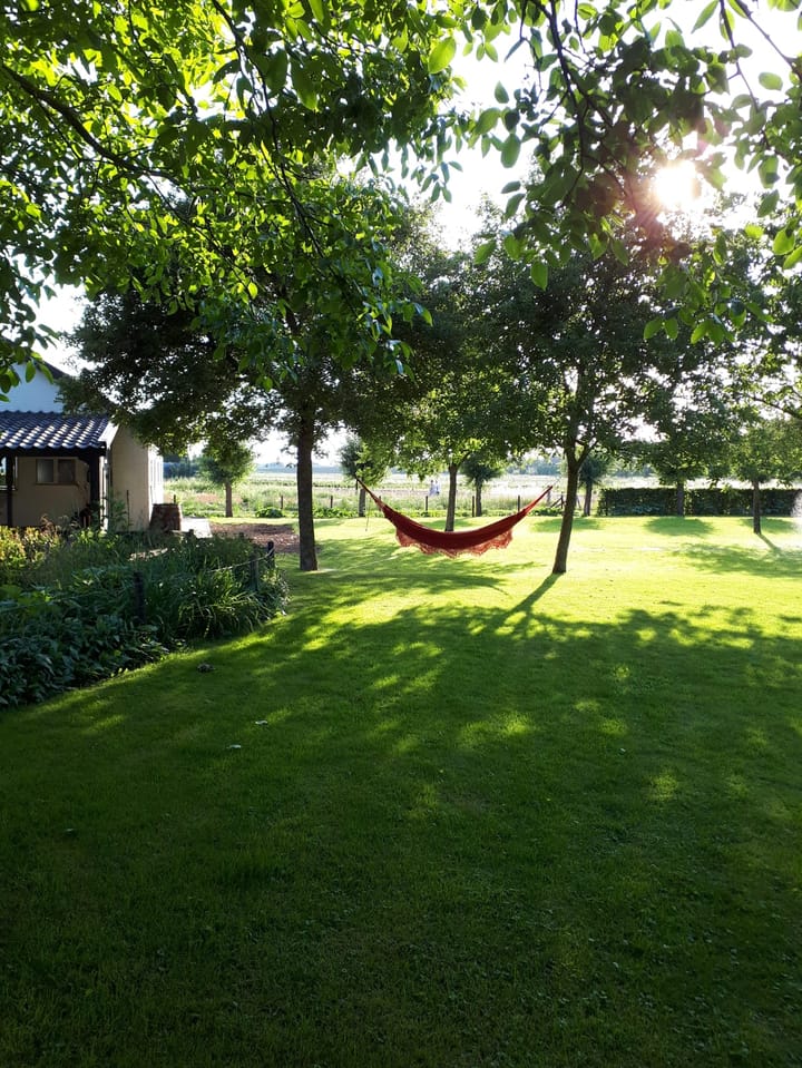 Foto 74 van Hoevestraat 16