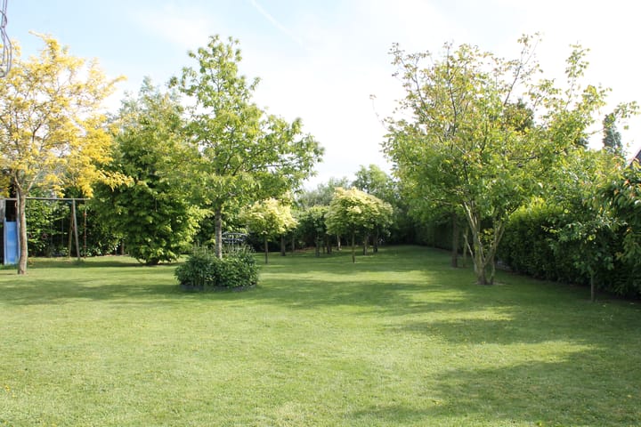 Photo 70 of Wijzend 49-A