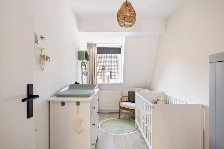 Foto 17 van Leonard Springerlaan 169