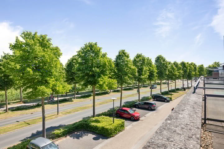 Foto 26 van Leonard Springerlaan 169