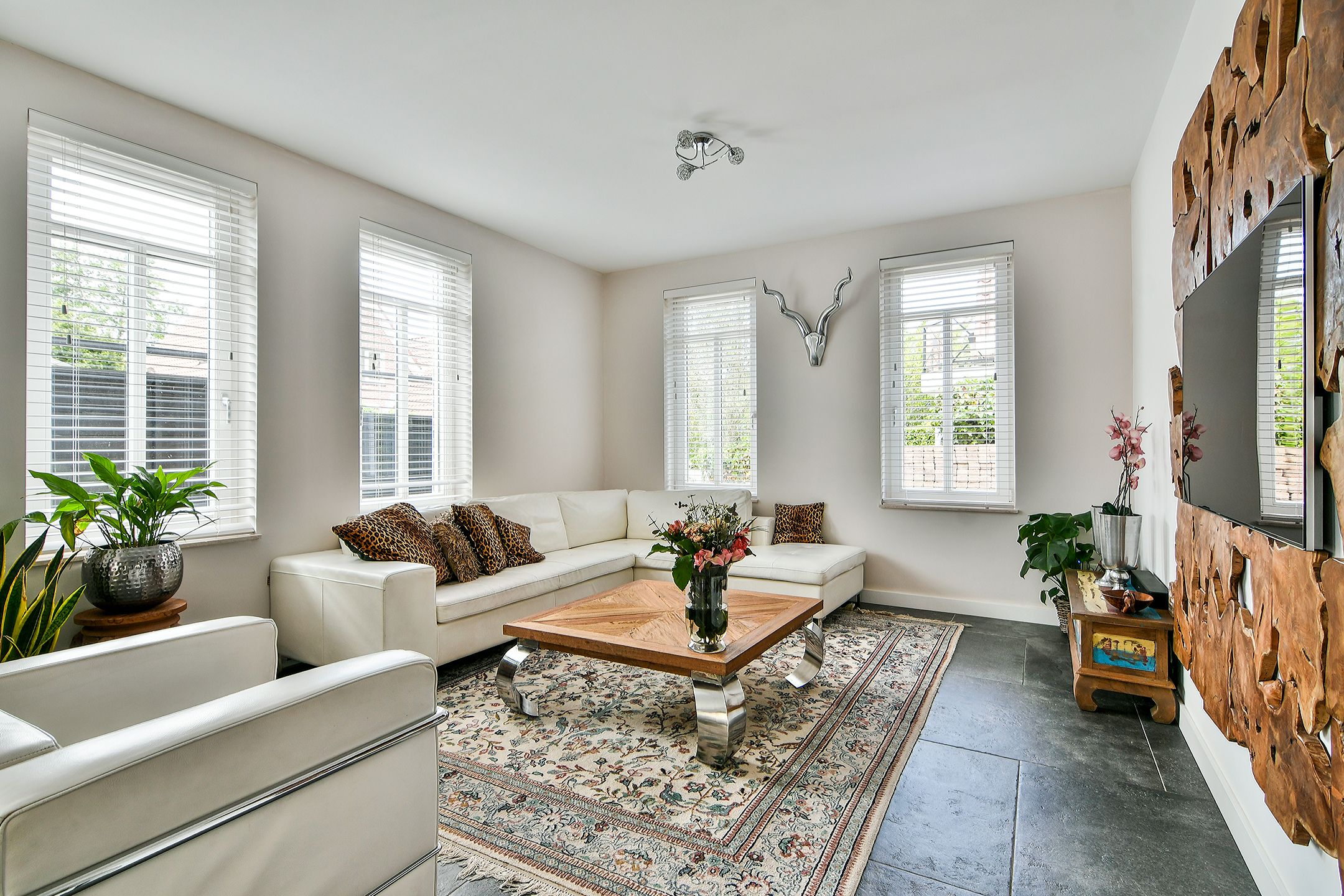 Foto 9 van Calypso 12