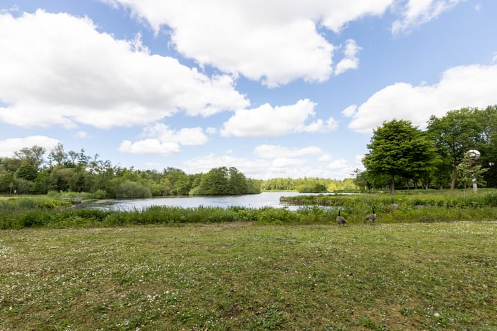 Foto 41 van Nonnenveld 25