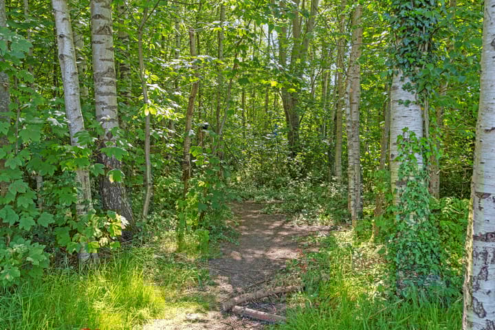 Foto 37 van De Pol 27