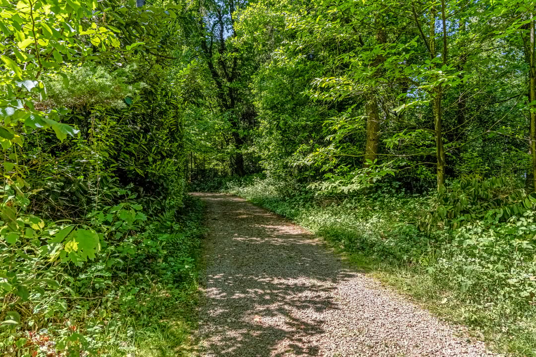 Photo 26 of Laan van Laag Kanje 91-R1