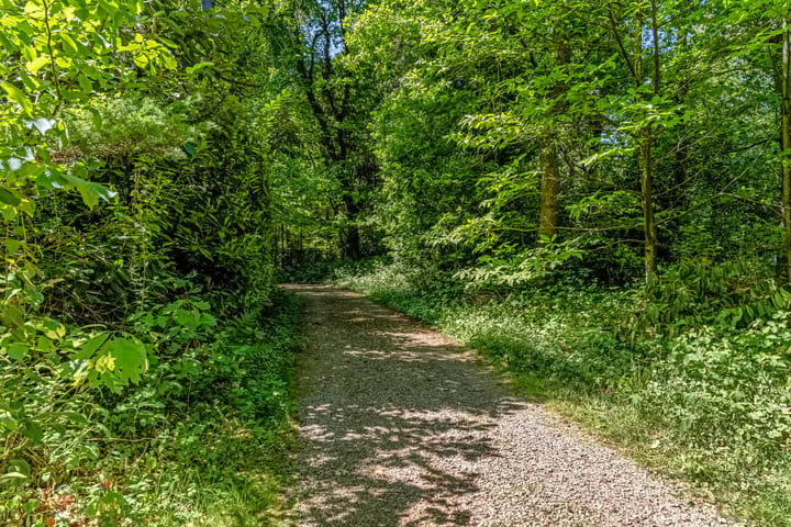 Foto 26 van Laan van Laag Kanje 91-R1