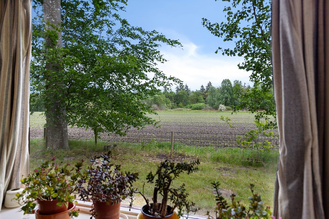 Foto 16 van Nij Amerika 20