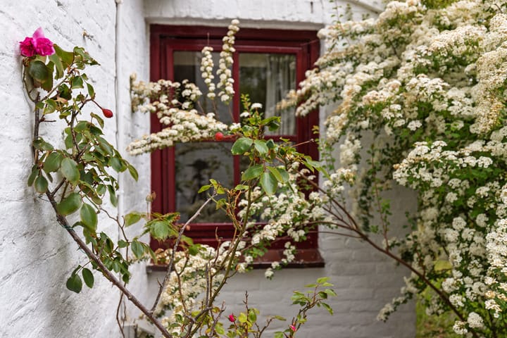 Foto 30 van Nij Amerika 20