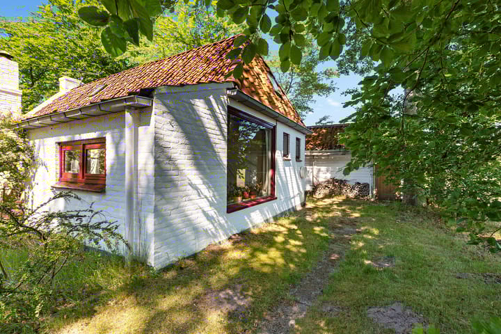 Foto 31 van Nij Amerika 20