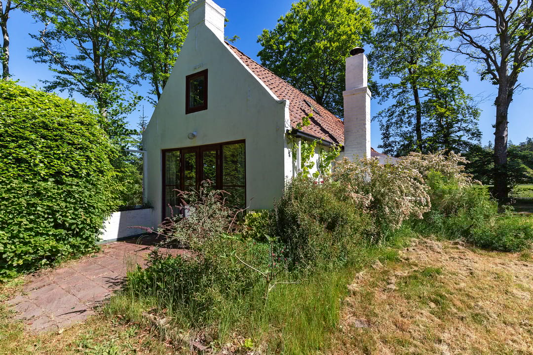 Foto 37 van Nij Amerika 20