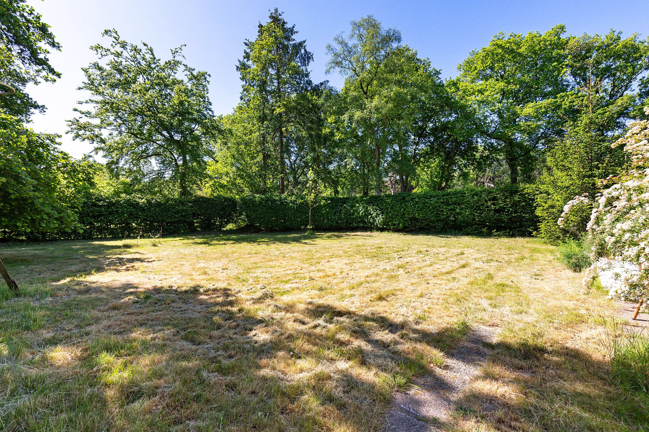 Foto 39 van Nij Amerika 20