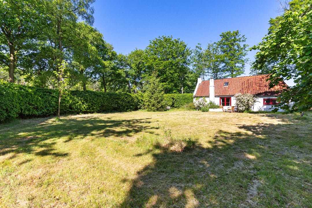 Foto 43 van Nij Amerika 20