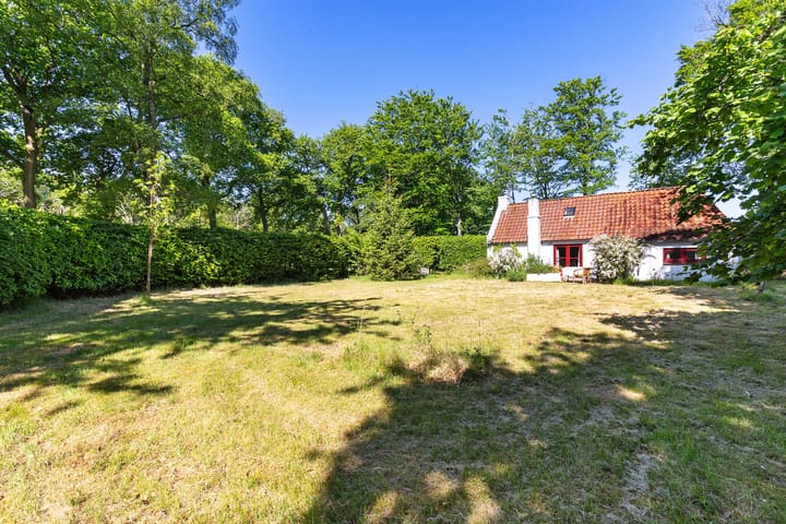 Foto 43 van Nij Amerika 20