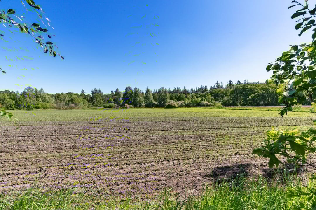 Foto 47 van Nij Amerika 20